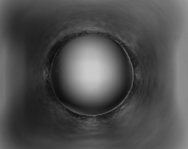 X0000092211495200709210940
