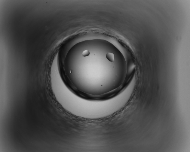 X0000092211496200709210940