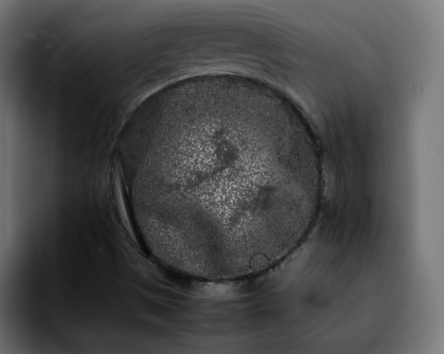X0000092211497200709210940