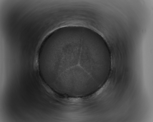 X0000092211498200709210940