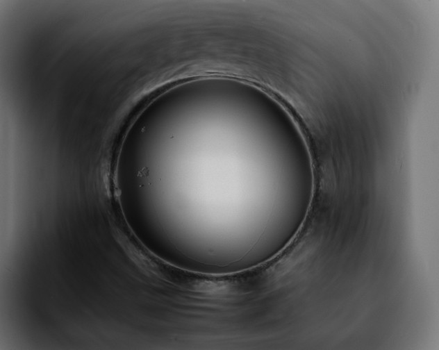 X0000092211499200709210940
