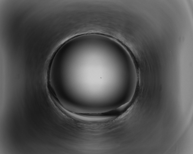 X0000092211500200709210940
