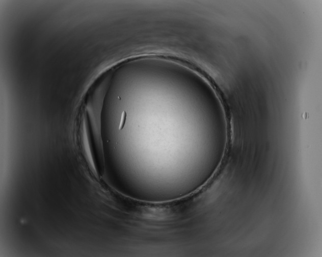 X0000092211501200709210940
