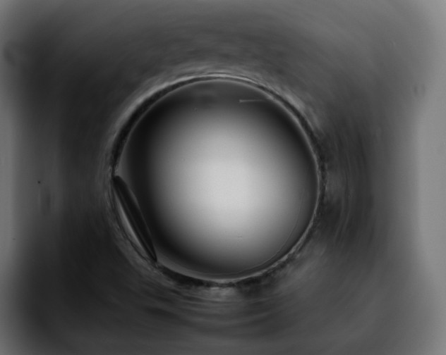 X0000092211503200709210940