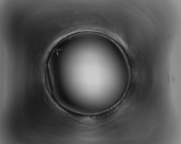 X0000092211504200709210940