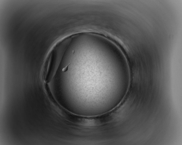 X0000092211509200709210940