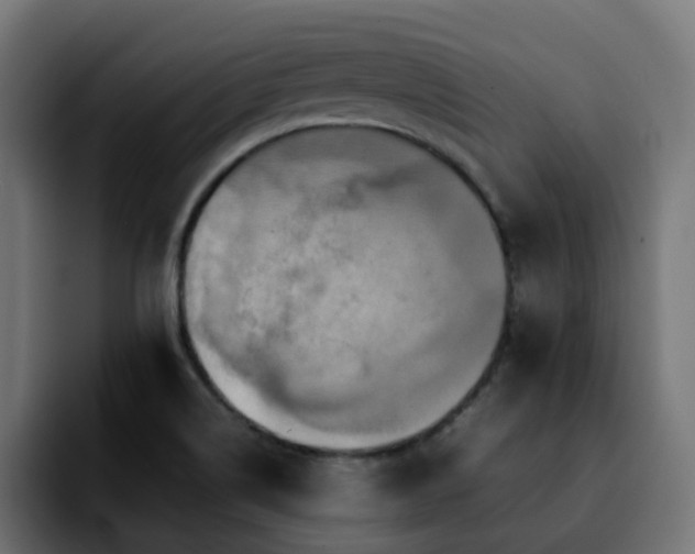 X0000092211514200709210940