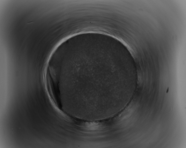 X0000092211515200709210940