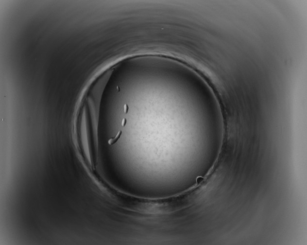 X0000092211517200709210940