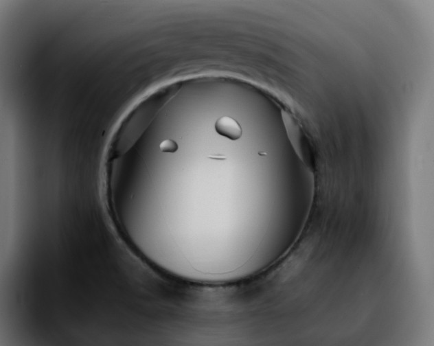 X0000092211518200709210940