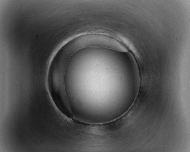 X0000092211520200709210940