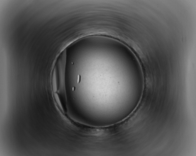 X0000092211521200709210940