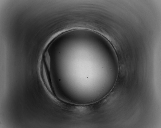 X0000092211523200709210941