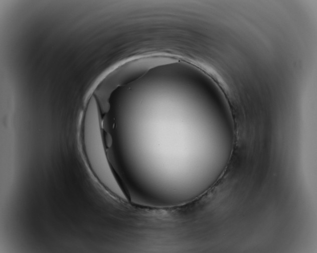 X0000092211524200709210941