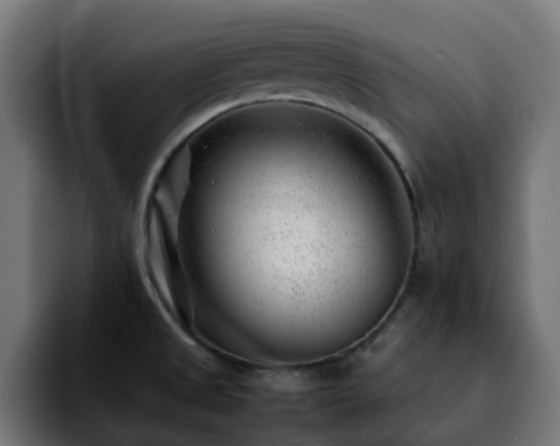 X0000092211525200709210941