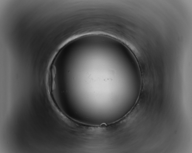 X0000092211526200709210941