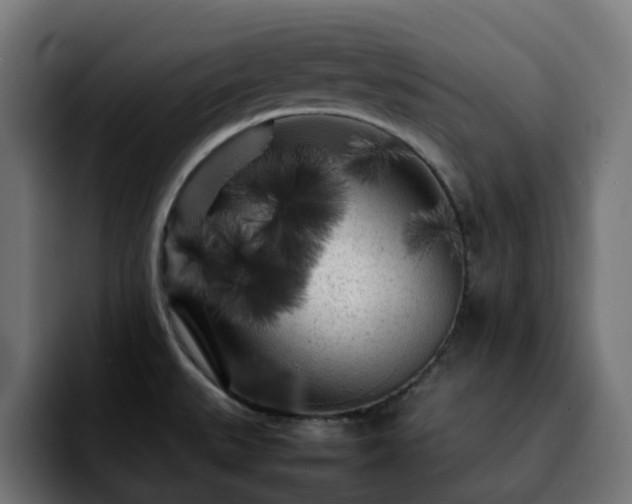 X0000092211527200709210941