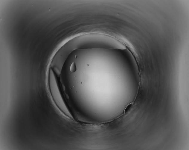 X0000092211528200709210941