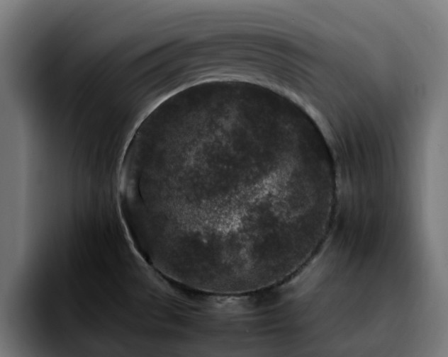 X0000092211529200709210941