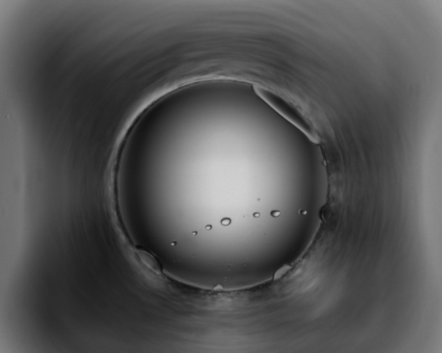 X0000092211530200709210941