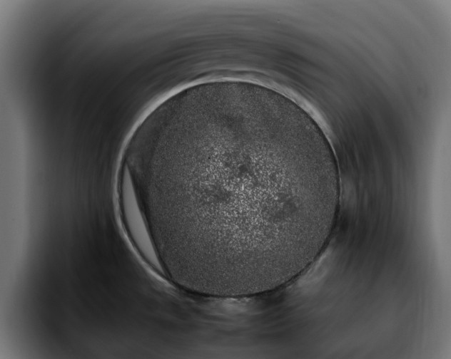 X0000092211533200709210941