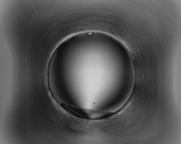 X0000092211534200709210941