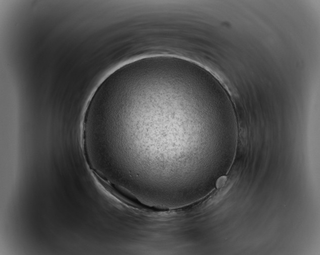 X0000092211535200709210941