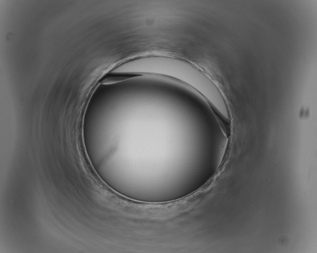 X0000092210001200709281032