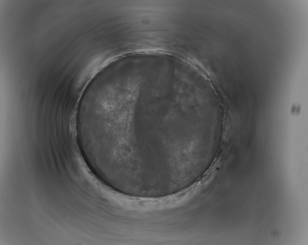 X0000092210002200709281032