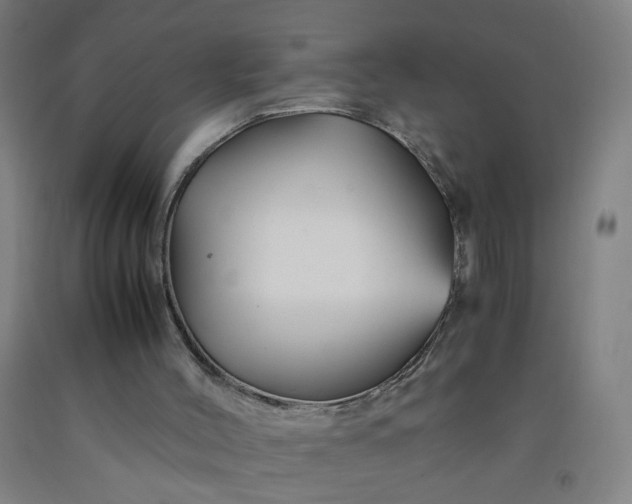 X0000092210004200709281032