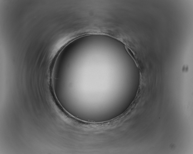 X0000092210005200709281032