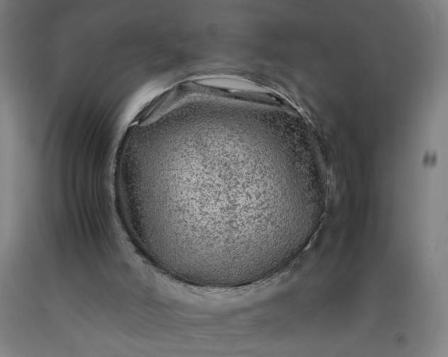 X0000092210006200709281032