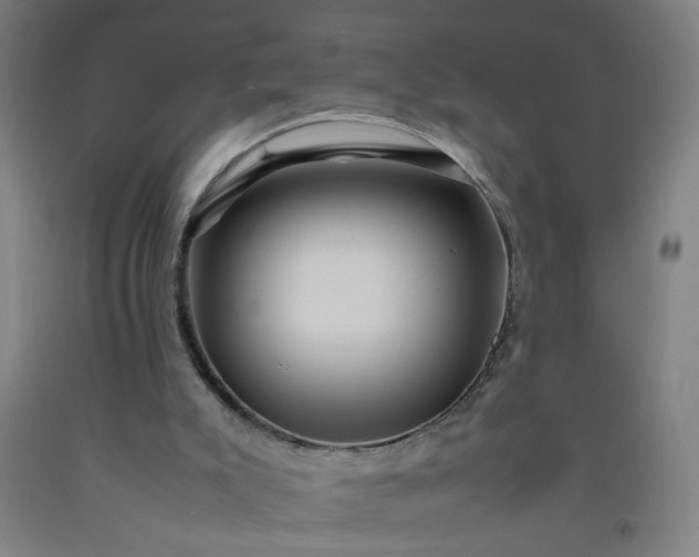 X0000092210007200709281032