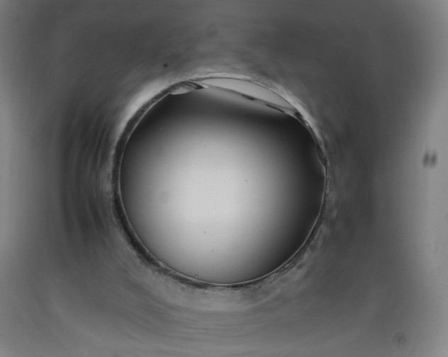 X0000092210008200709281032