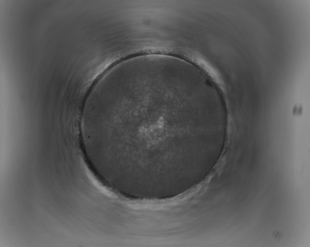 X0000092210009200709281032