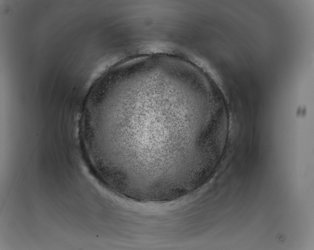 X0000092210010200709281032