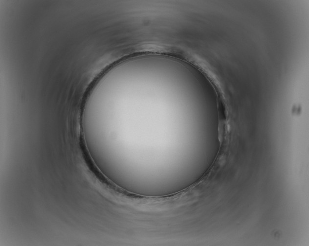 X0000092210011200709281032