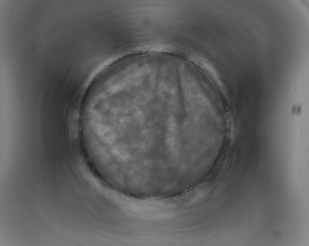 X0000092210012200709281032