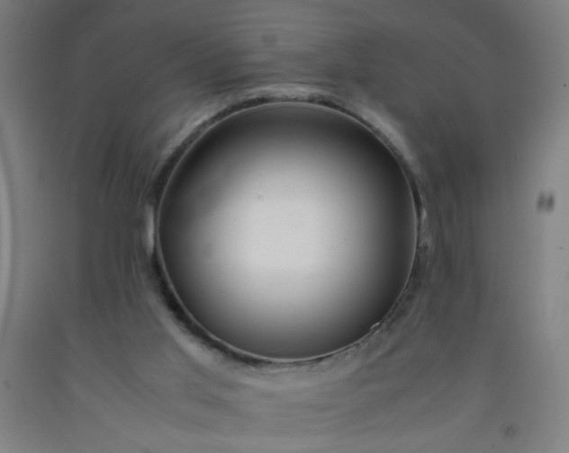 X0000092210013200709281032