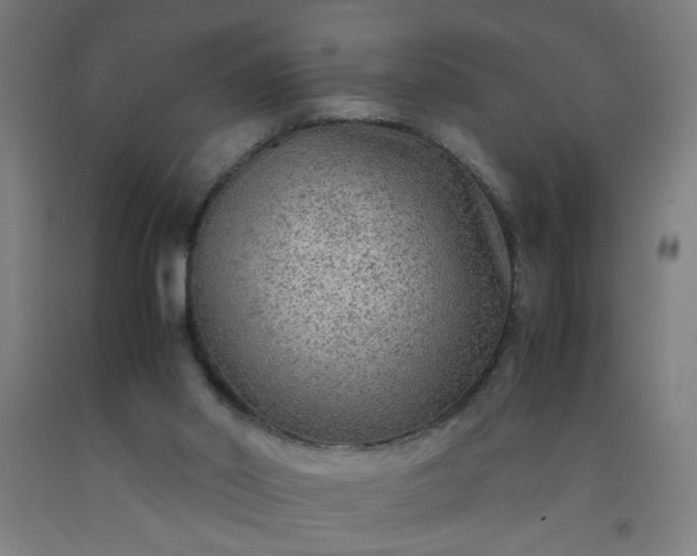 X0000092210014200709281032