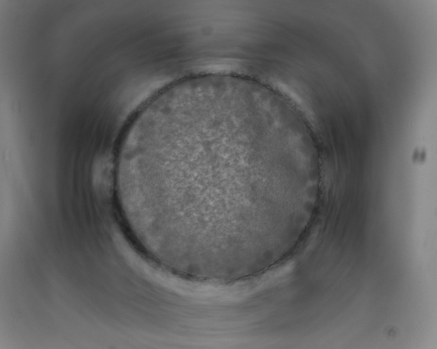 X0000092210016200709281032