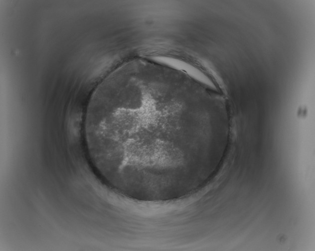 X0000092210018200709281032