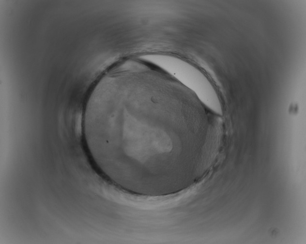 X0000092210019200709281032