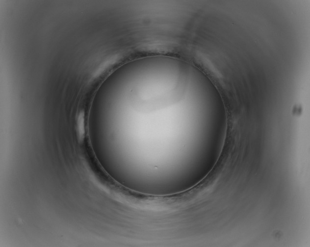 X0000092210020200709281032