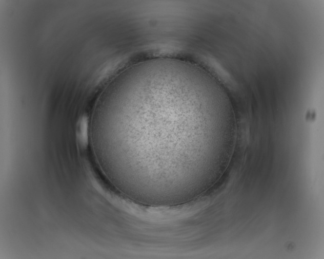 X0000092210022200709281032