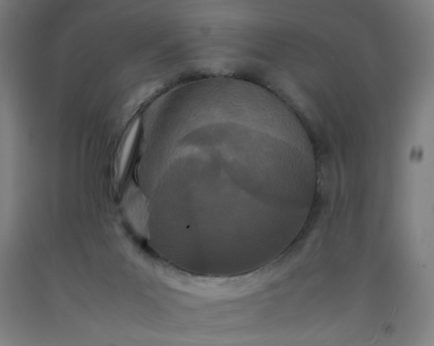 X0000092210023200709281032