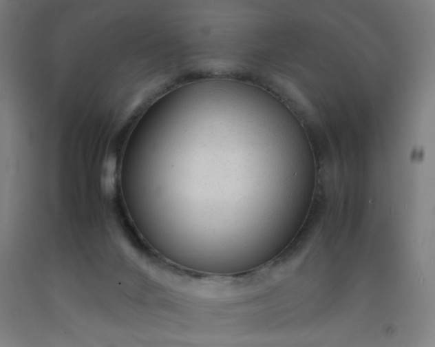 X0000092210024200709281032