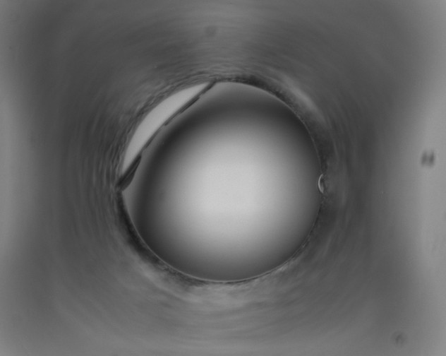 X0000092210025200709281032