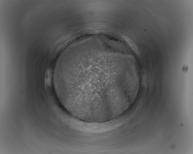 X0000092210026200709281032