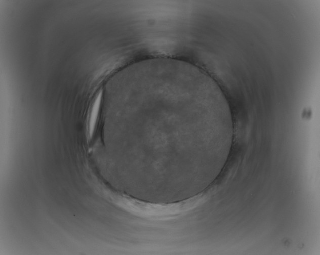 X0000092210027200709281032